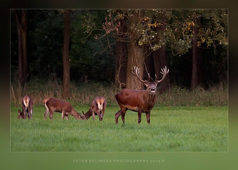Fotografie