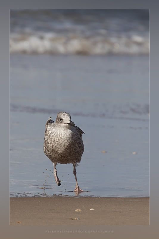 Fotografie