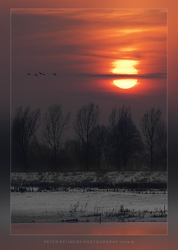 Fotografie