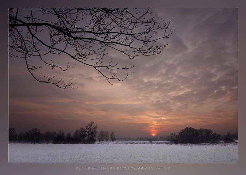Fotografie