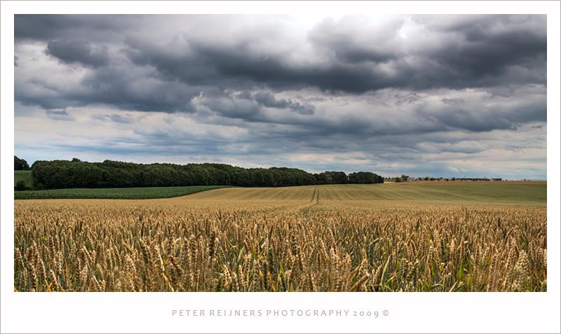 Fotografie