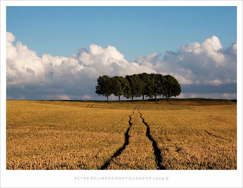 Fotografie