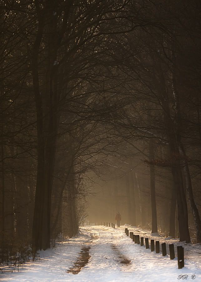 Fotografie