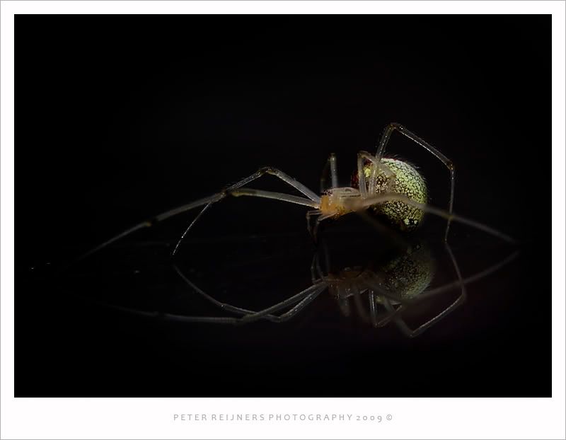 Fotografie