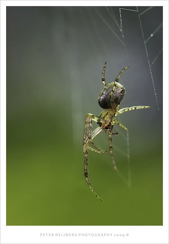 Fotografie