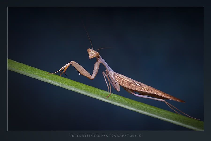 Fotografie