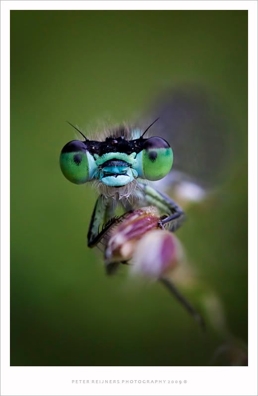 Fotografie