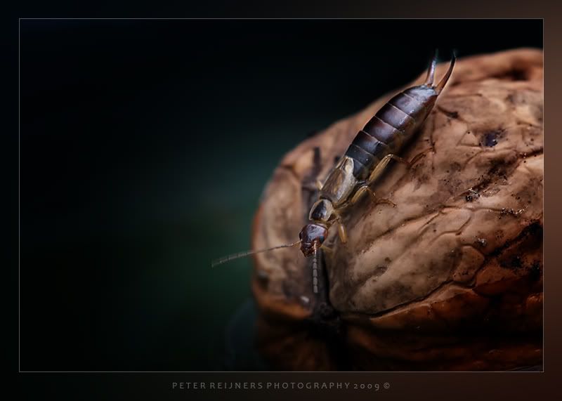 Fotografie