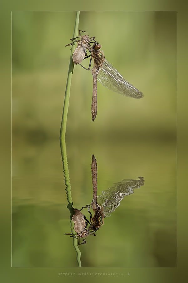 Fotografie