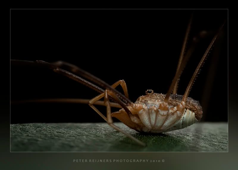 Fotografie