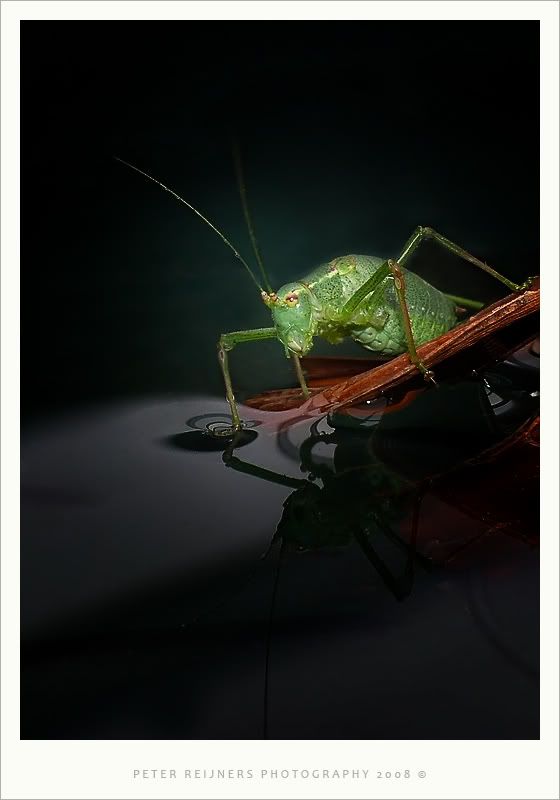 Fotografie