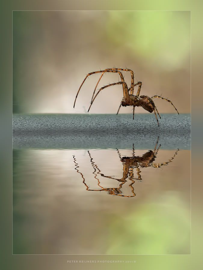 Fotografie