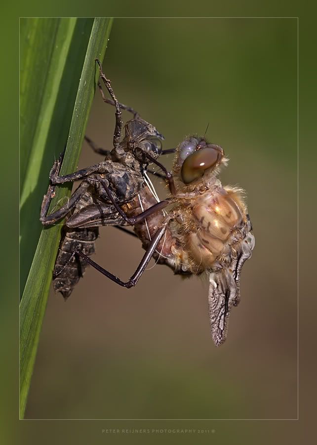 Fotografie