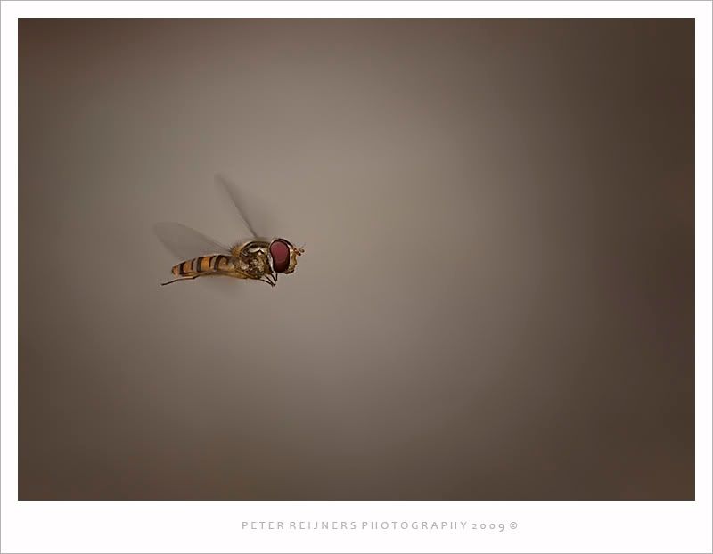 Fotografie