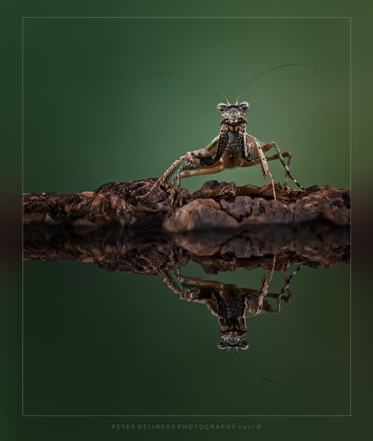 Fotografie