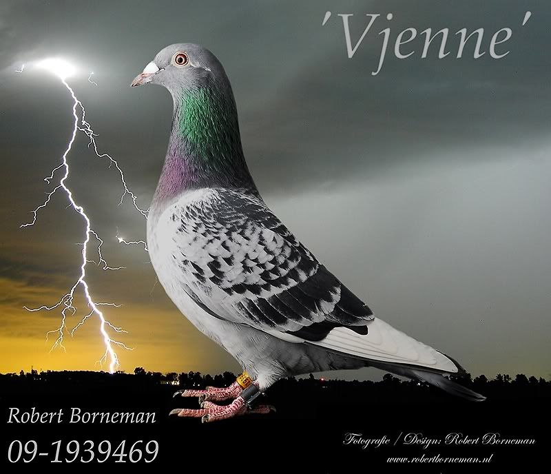 Fotografie
