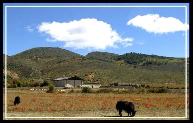 http://i227.photobucket.com/albums/dd236/susan8652/Shangri-La%20-%20the%20legendary%20paradise/1.jpg?t=1193813753