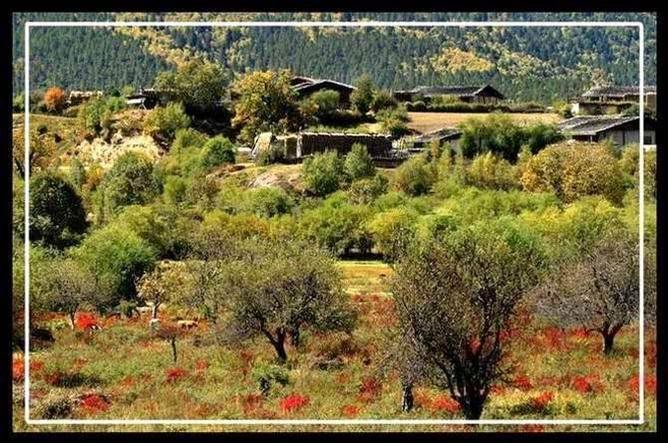 http://i227.photobucket.com/albums/dd236/susan8652/Shangri-La%20-%20the%20legendary%20paradise/11.jpg?t=1193813609