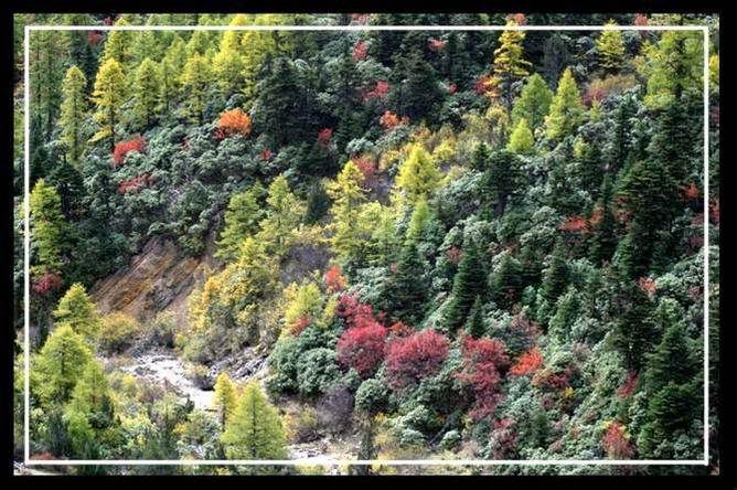 http://i227.photobucket.com/albums/dd236/susan8652/Shangri-La%20-%20the%20legendary%20paradise/14.jpg?t=1193813567