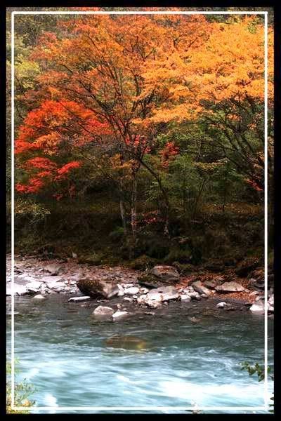 http://i227.photobucket.com/albums/dd236/susan8652/Shangri-La%20-%20the%20legendary%20paradise/15.jpg?t=1193813552