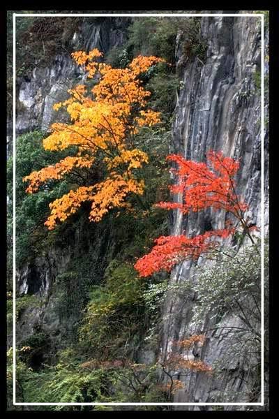 http://i227.photobucket.com/albums/dd236/susan8652/Shangri-La%20-%20the%20legendary%20paradise/16.jpg?t=1193813537