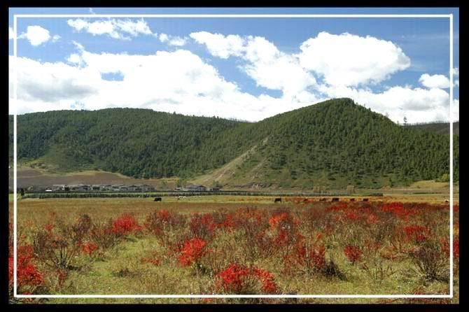 http://i227.photobucket.com/albums/dd236/susan8652/Shangri-La%20-%20the%20legendary%20paradise/4.jpg?t=1193813706