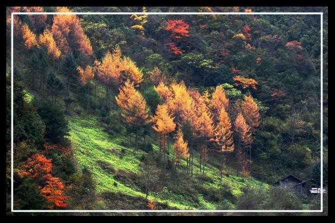 http://i227.photobucket.com/albums/dd236/susan8652/Shangri-La%20-%20the%20legendary%20paradise/7.jpg?t=1193813665