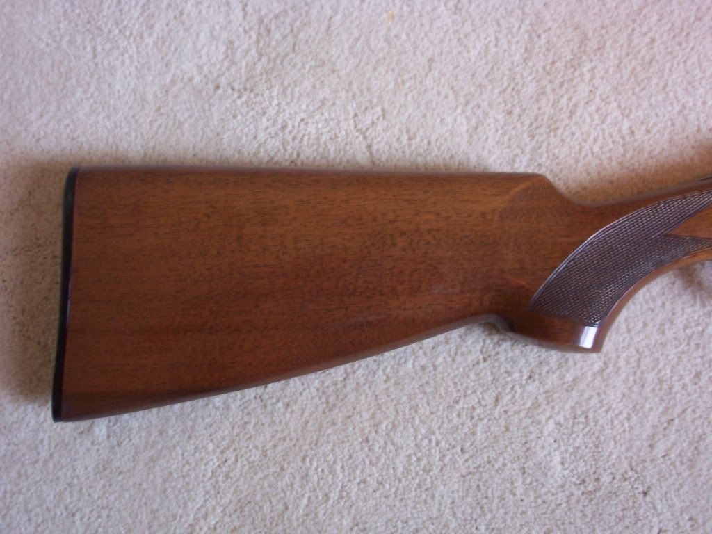 beretta4004.jpg