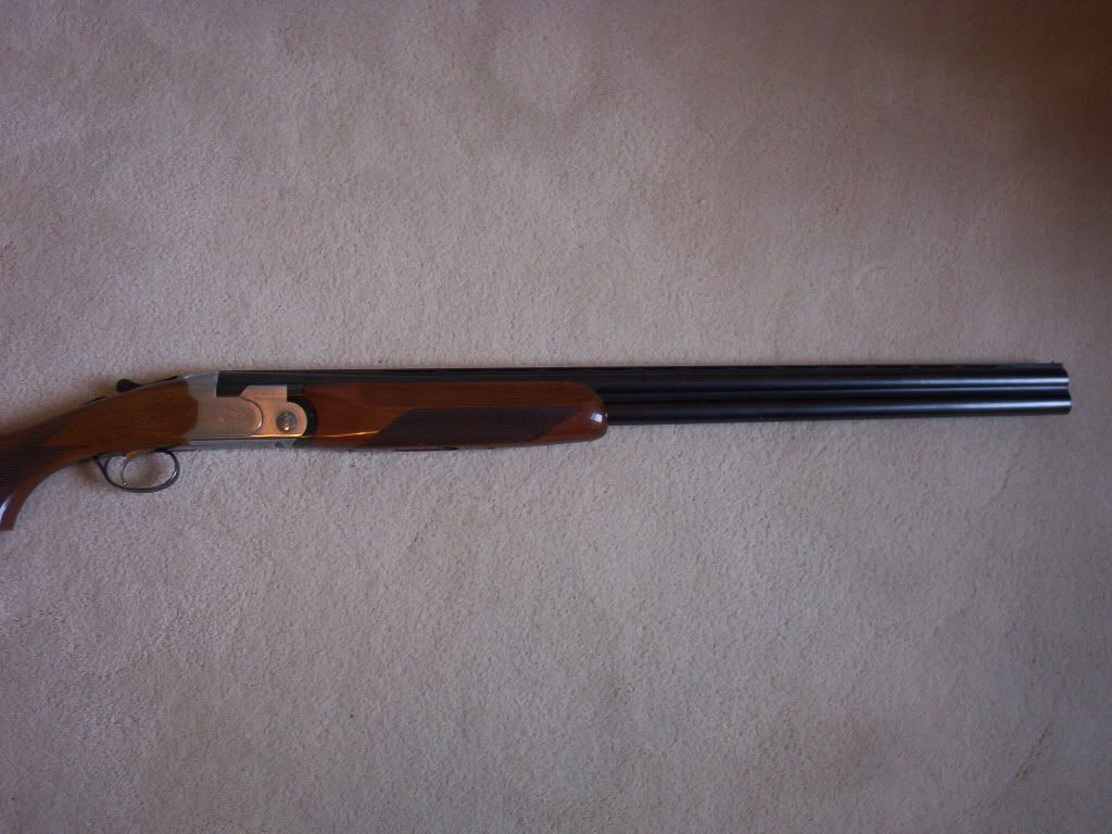 beretta4005.jpg