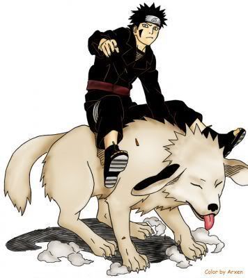 kiba and akamaru older Pictures, Images and Photos