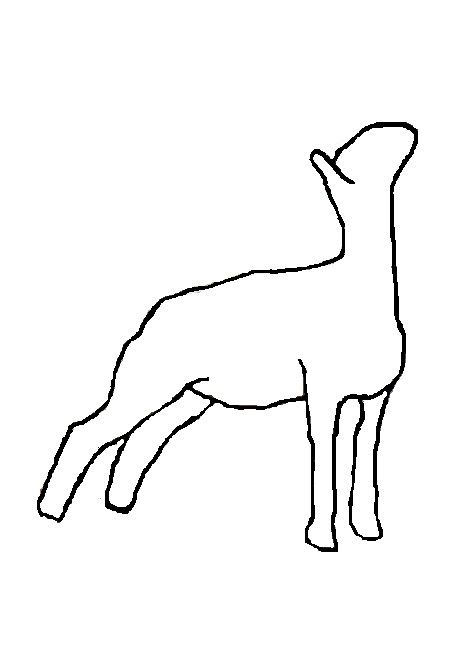 Sheep Outline