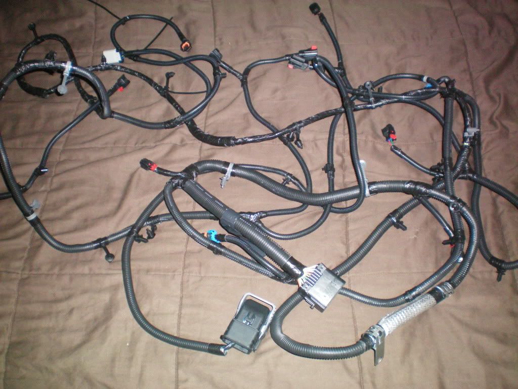 this is the connector you want. There are 2 on the harness one for the front and one for the rear.