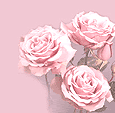 flores.gif