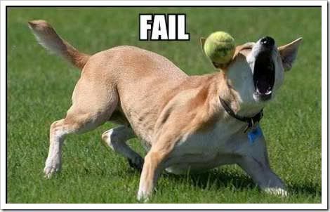 fail-dog-ball2.jpg