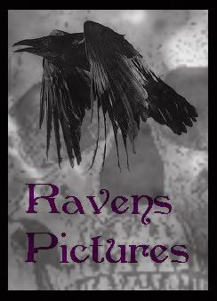 ravens pictures