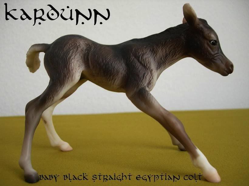 Kardunn.jpg Kardunn picture by EAMA_Colts