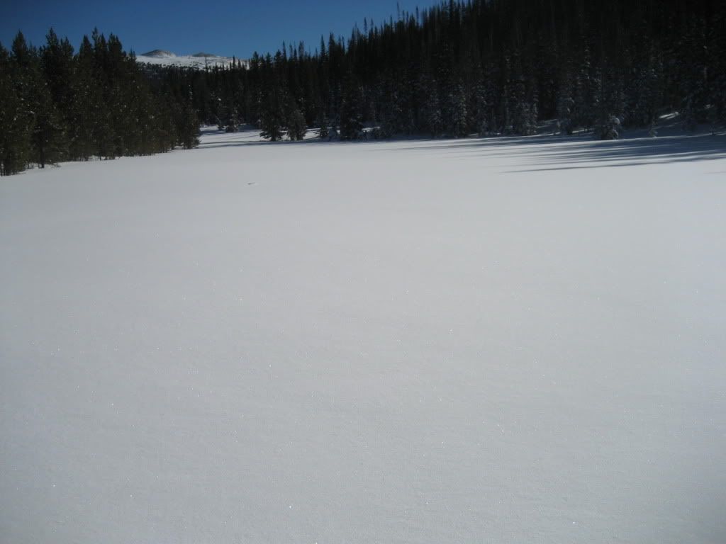 snowies1-8-13007.jpg