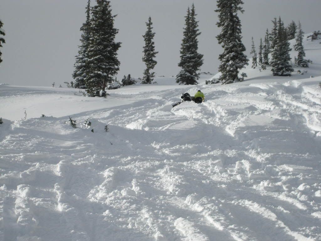 snowies12-03-08008.jpg