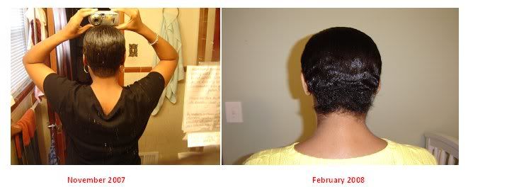 Nov07-Feb08.jpg