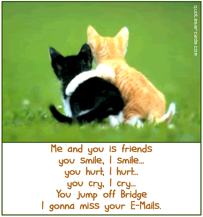 best friend quotes funny. funny_quotes_comments_01.gif