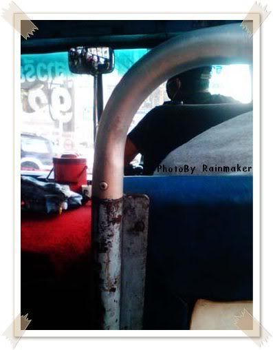 Panda On The Bus
