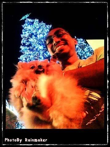 Christmas time in a little corner