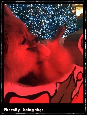 Christmas time in a little corner