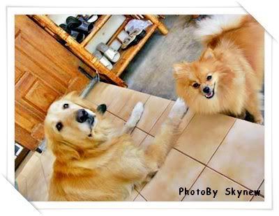 ย้อนหลัง 31 Dec 2007 ปีใหม่ ณ นครปฐม