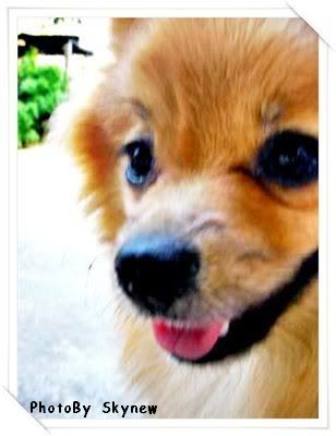 ย้อนหลัง 31 Dec 2007 ปีใหม่ ณ นครปฐม