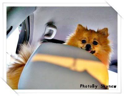 ย้อนหลัง 31 Dec 2007 ปีใหม่ ณ นครปฐม
