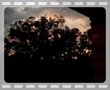 th_Myphotos221.jpg