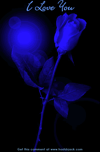 photo 3392.gif