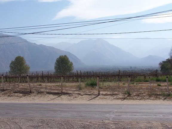 provincia provincia