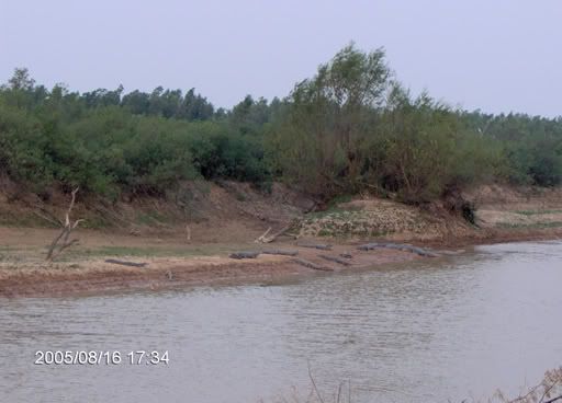 Salta Salta